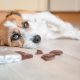 iStock 1173775739 scaled 80x80